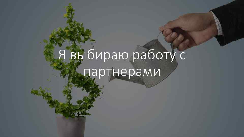 Я выбираю работу с партнерами 