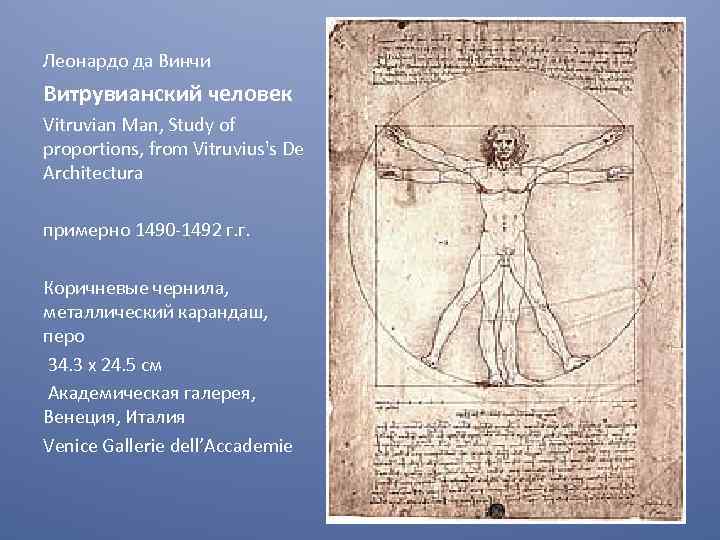 Леонардо да Винчи Витрувианский человек Vitruvian Man, Study of proportions, from Vitruvius's De Architectura