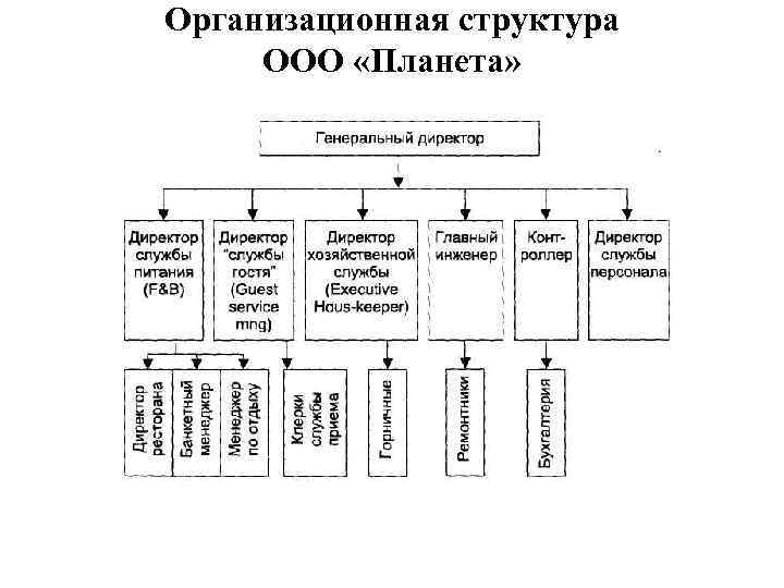 Организационная структура ООО «Планета» 