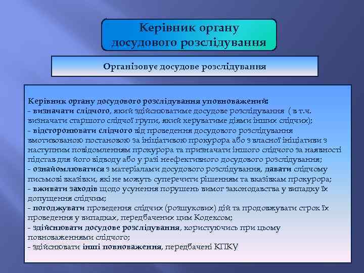 Керівник органу досудового розслідування Організовує досудове розслідування Керівник органу досудового розслідування уповноважений: - визначати