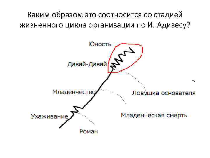 Каким образом это соотносится со стадией жизненного цикла организации по И. Адизесу? 