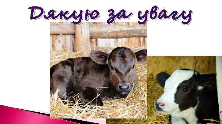 Дякую за увагу 