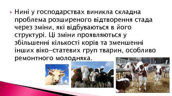  Нині у господарствах виникла складна проблема розширеного відтворення стада через зміни, які відбуваються