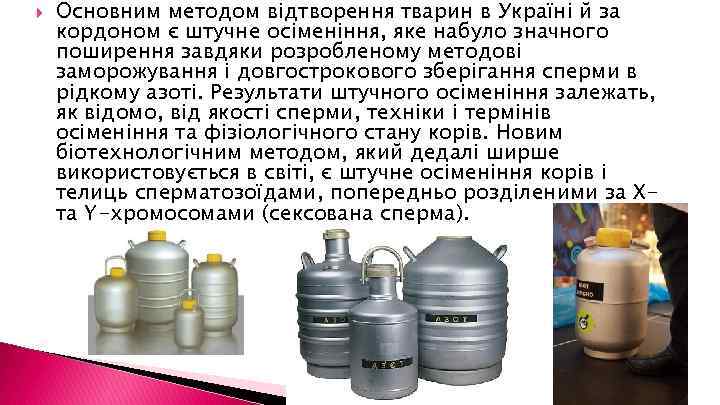  Основним методом відтворення тварин в Україні й за кордоном є штучне осіменіння, яке