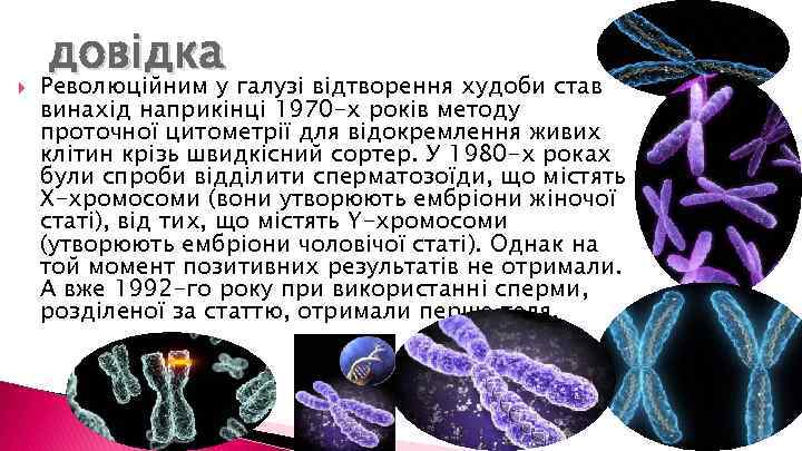  довідка Революційним у галузі відтворення худоби став винахід наприкінці 1970 -х років методу