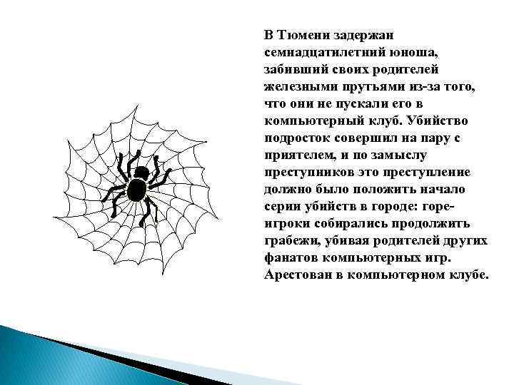 В Тюмени задержан семнадцатилетний юноша, забивший своих родителей железными прутьями из-за того, что они