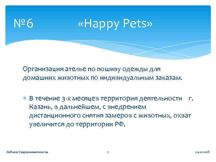 № 6 «Happy Pets» Организация ателье по пошиву одежды для домашних животных по индивидуальным