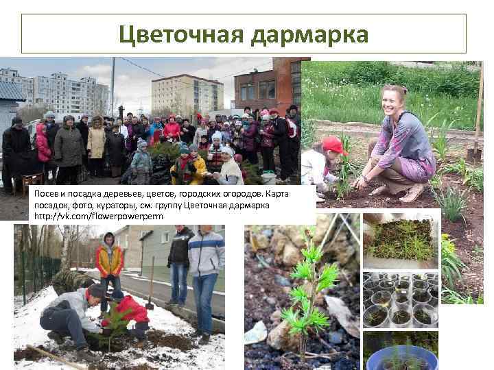 Цветочная дармарка Посев и посадка деревьев, цветов, городских огородов. Карта посадок, фото, кураторы, см.
