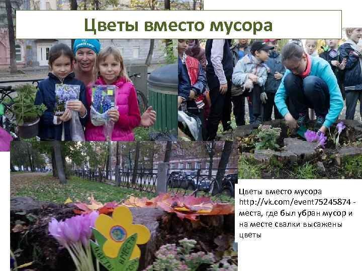 Цветы вместо мусора http: //vk. com/event 75245874 места, где был убран мусор и на
