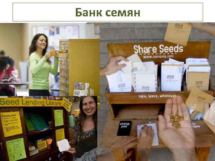 Банк семян 
