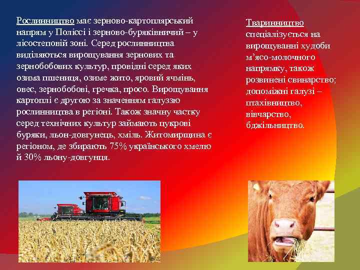 Рослинництво має зерново-картоплярський напрям у Поліссі і зерново-буряківничий – у лісостеповій зоні. Серед рослинництва