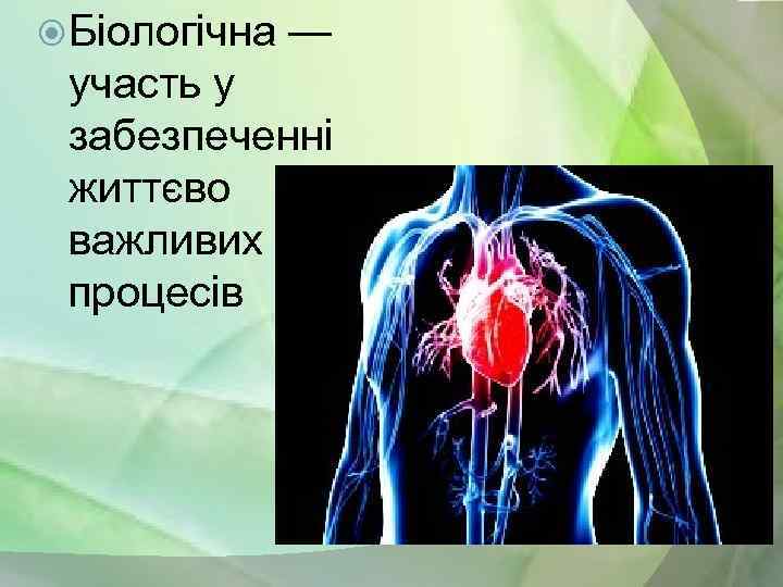  Біологічна — участь у забезпеченні життєво важливих процесів 