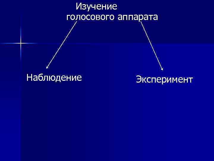  Изучение голосового аппарата Наблюдение Эксперимент 