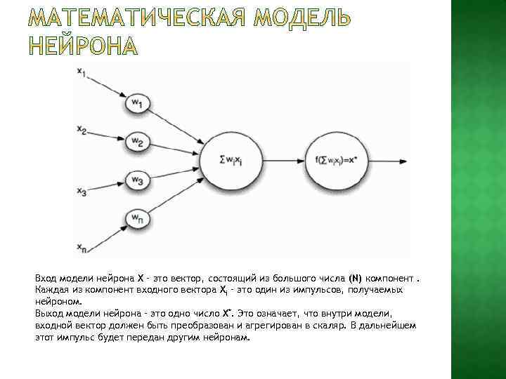 Вход модели нейрона X – это вектор, состоящий из большого числа (N) компонент. Каждая