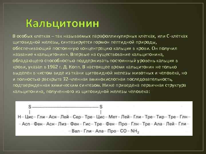 Кальцитонин В особых клетках – так называемых парафолликулярных клетках, или С-клетках щитовидной железы, синтезируется