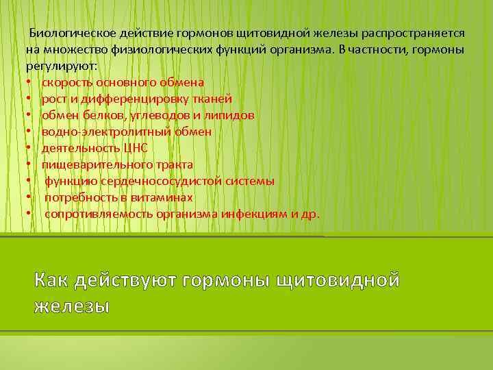 Биологическое действие гормонов щитовидной железы распространяется на множество физиологических функций организма. В частности, гормоны