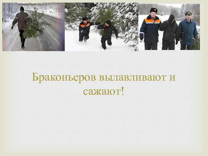 Браконьеров вылавливают и сажают! 