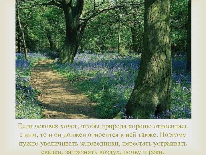 Если человек хочет, чтобы природа хорошо относилась с ним, то и он должен относится