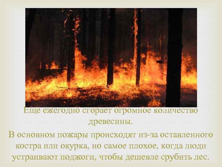 Еще ежегодно сгорает огромное количество древесины. В основном пожары происходят из-за оставленного костра или