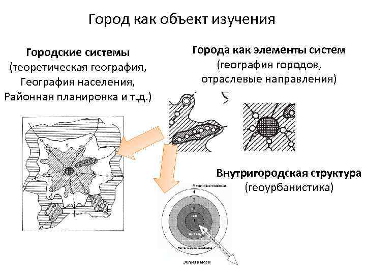 Город как объект изучения Городские системы (теоретическая география, География населения, Районная планировка и т.