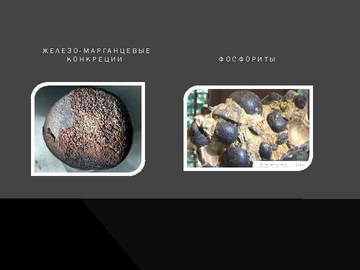 ЖЕЛЕЗО-МАРГАНЦЕВЫЕ КОНКРЕЦИИ ФОСФОРИТЫ 