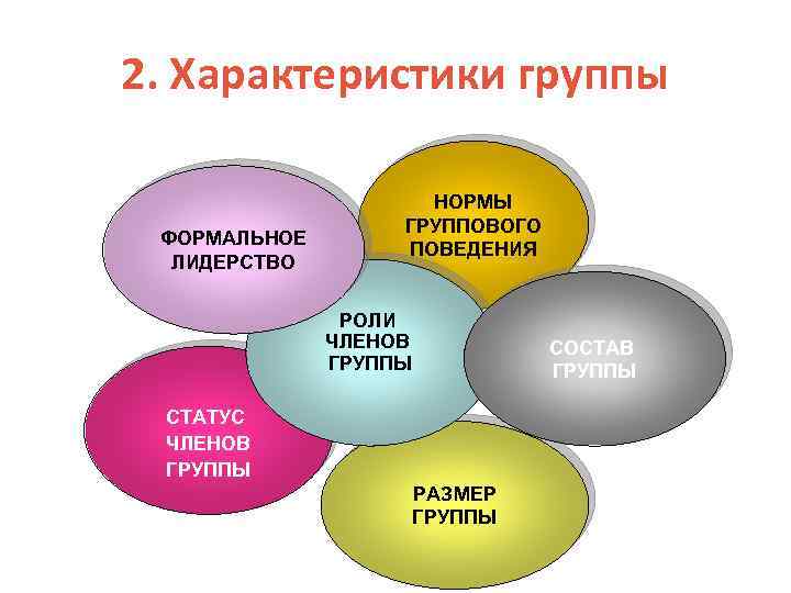 2. Характеристики группы ФОРМАЛЬНОЕ ЛИДЕРСТВО НОРМЫ ГРУППОВОГО ПОВЕДЕНИЯ РОЛИ ЧЛЕНОВ ГРУППЫ СТАТУС ЧЛЕНОВ ГРУППЫ