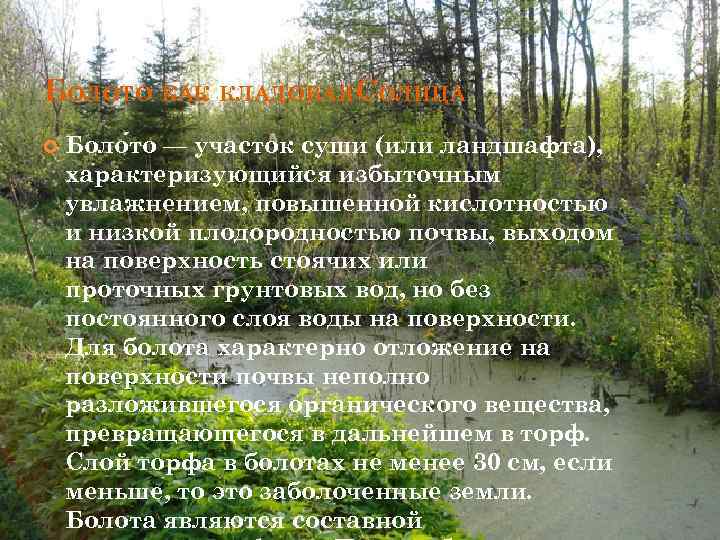 БОЛОТО КАК КЛАДОВАЯСОЛНЦА Боло то — участок суши (или ландшафта), характеризующийся избыточным увлажнением, повышенной