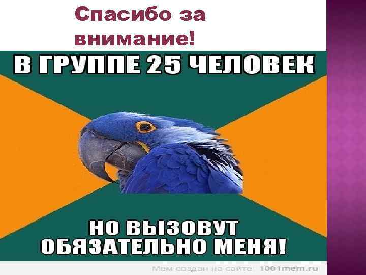 Спасибо за внимание! 