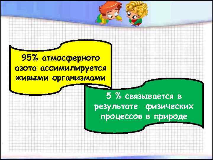 95% атмосферного азота ассимилируется живыми организмами 5 % связывается в результате физических процессов в