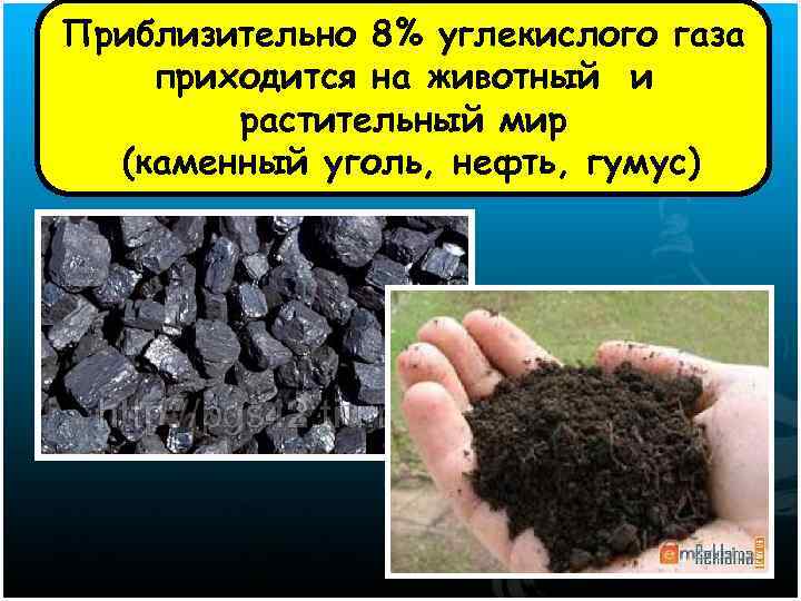 Приблизительно 8% углекислого газа приходится на животный и растительный мир (каменный уголь, нефть, гумус)