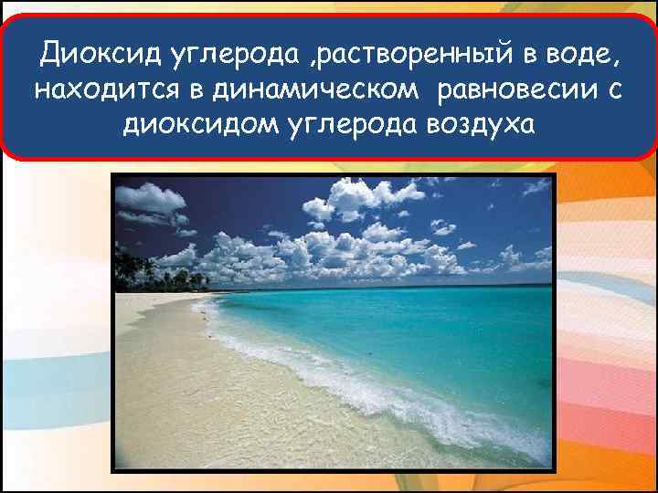 Диоксид углерода , растворенный в воде, находится в динамическом равновесии с диоксидом углерода воздуха