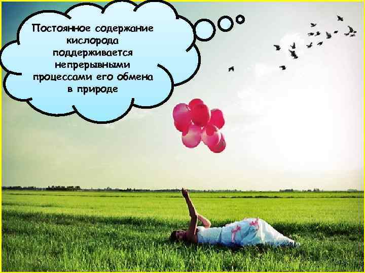 Постоянное содержание кислорода поддерживается непрерывными процессами его обмена в природе 