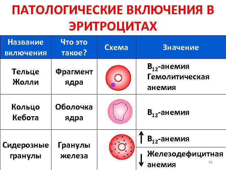 ПАТОЛОГИЧЕСКИЕ ВКЛЮЧЕНИЯ В ЭРИТРОЦИТАХ Название включения Что это такое? Схема Значение Тельце Жолли Фрагмент