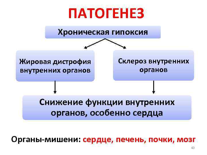 ПАТОГЕНЕЗ Хроническая гипоксия Жировая дистрофия внутренних органов Склероз внутренних органов Снижение функции внутренних органов,
