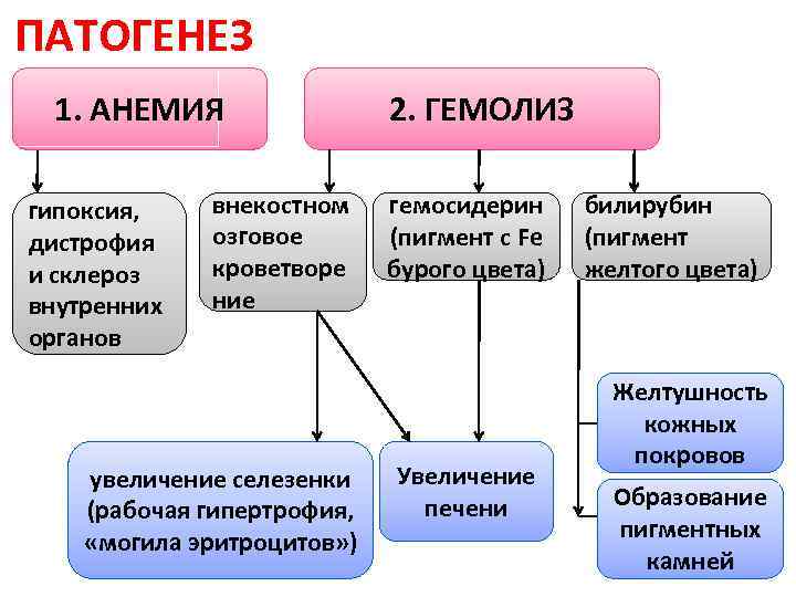 Патогенез жда схема