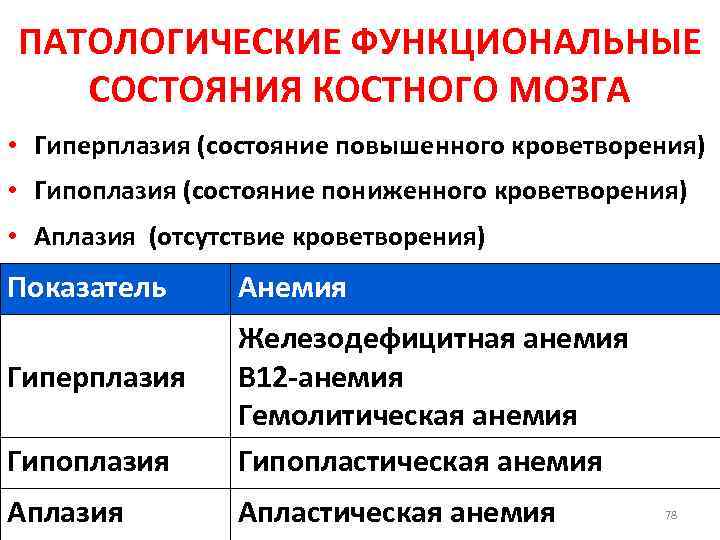 Морфологическая картина гипоплазии костного мозга