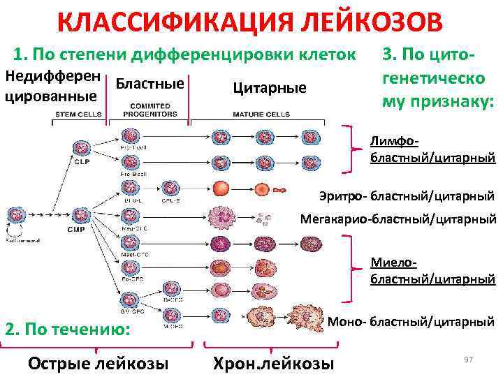 Острый лейкоз схема лечения