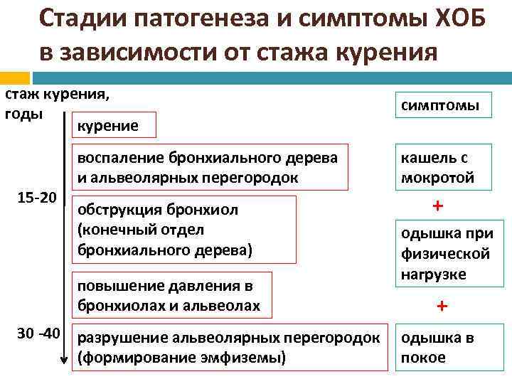 Стадии патогенеза и симптомы ХОБ в зависимости от стажа курения стаж курения, годы курение
