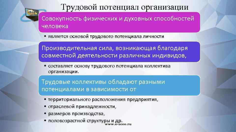  Трудовой потенциал организации Совокупность физических и духовных способностей человека • является основой трудового