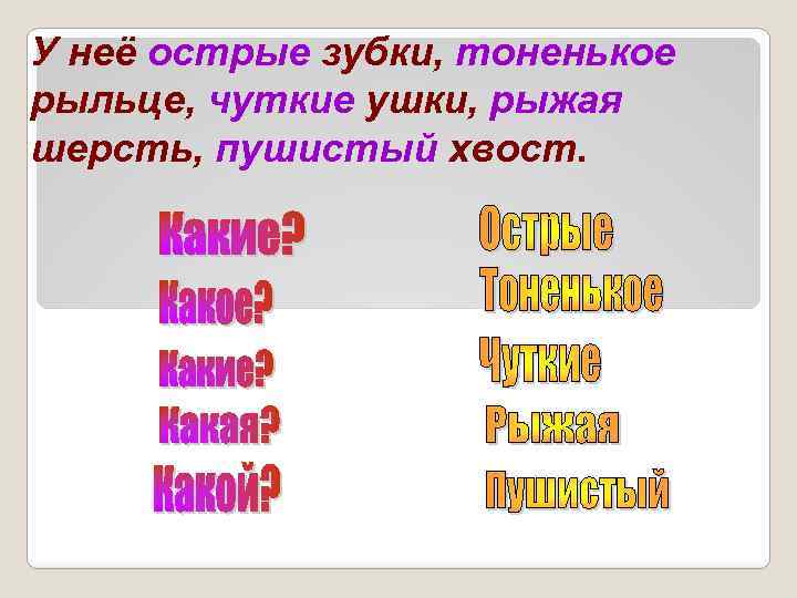 У неё острые зубки, тоненькое рыльце, чуткие ушки, рыжая шерсть, пушистый хвост. 