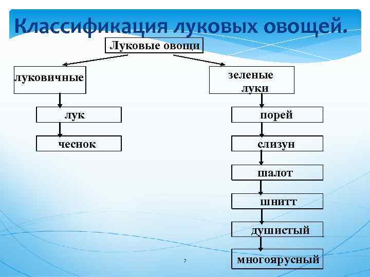 Товароведная характеристика холодных блюд