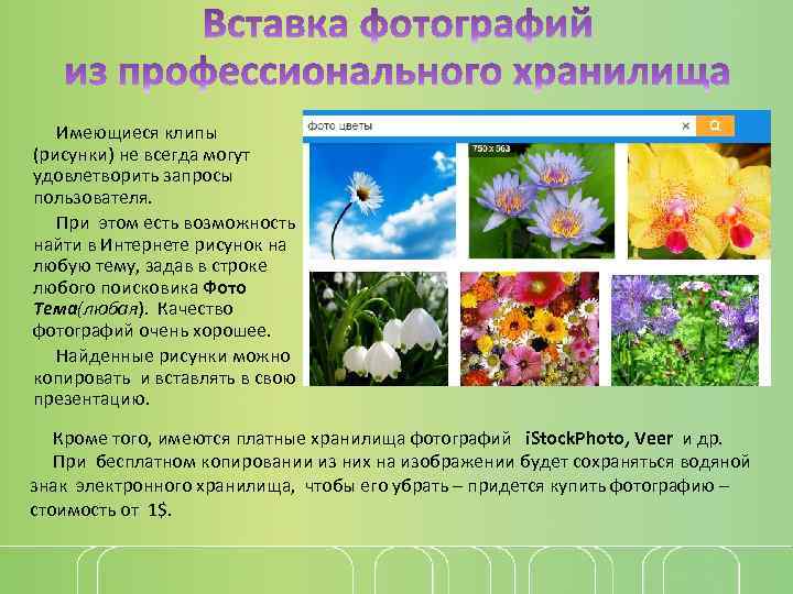 Имеющиеся клипы (рисунки) не всегда могут удовлетворить запросы пользователя. При этом есть возможность найти