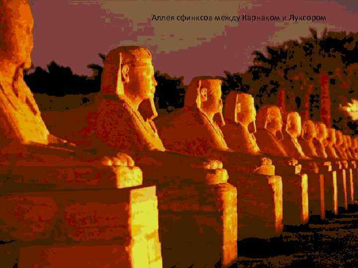 Аллея сфинксов между Карнаком и Луксором 