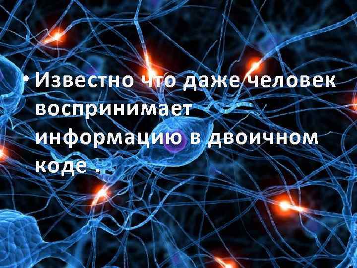  • Известно что даже человек воспринимает информацию в двоичном коде. 
