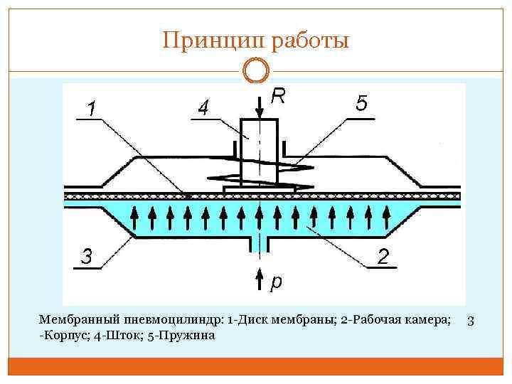Принцип работы Мембранный пневмоцилиндр: 1 -Диск мембраны; 2 -Рабочая камера; 3 -Корпус; 4 -Шток;