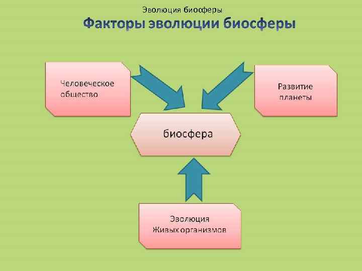 Эволюция биосферы 