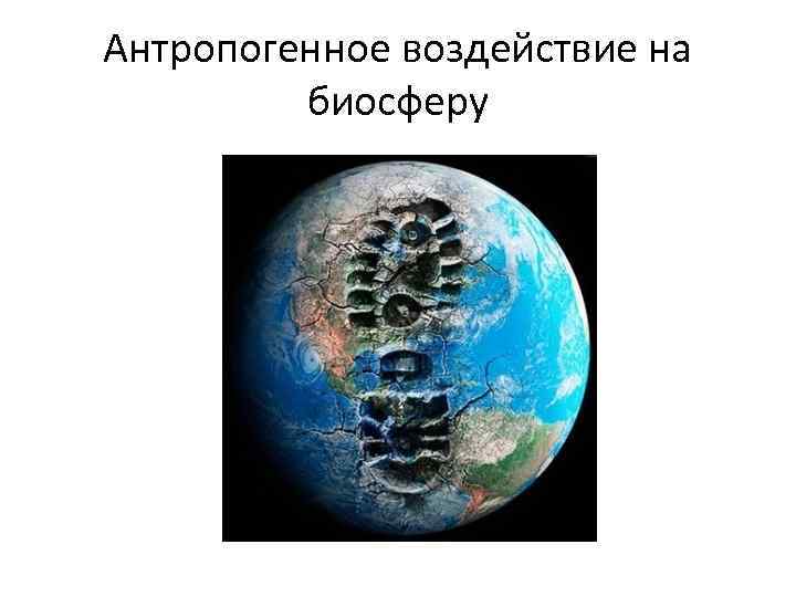 Антропогенное воздействие на биосферу 