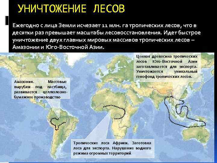 Тропические леса юго восточной азии карта