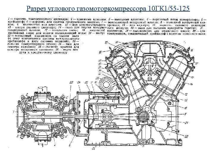 Разрез углового газомоторкомпрессора 10 ГК 1/55 -125 