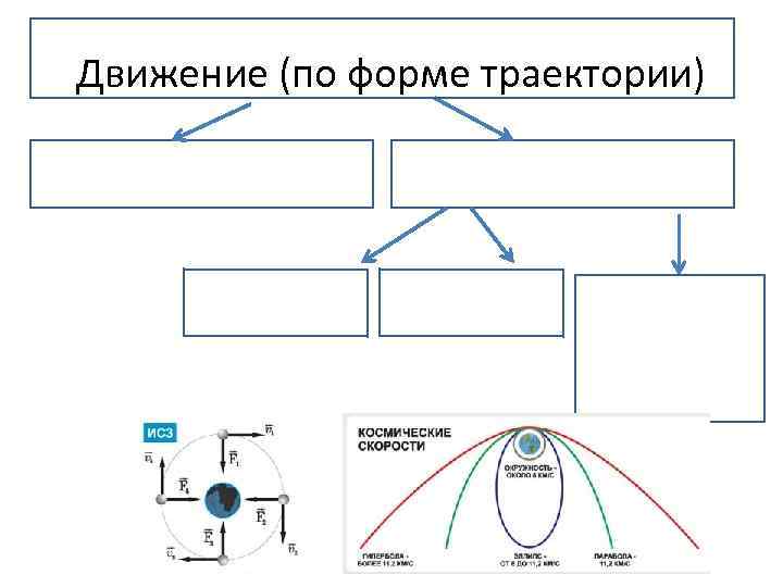 Движение (по форме траектории) 